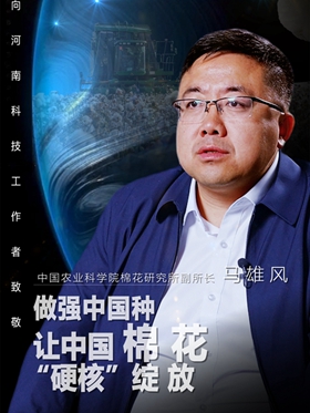 2022年河南“最美科技工作者”马雄风：做强中国种 让中国棉花“硬核”绽放