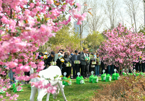 郑州市第十七届公益树葬活动举行 142位逝者长眠树下
